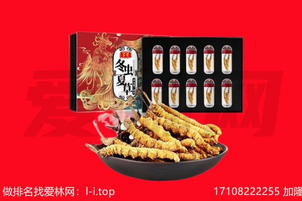 当雄县回收虫草.jpg